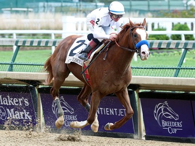 Preview: Breeders' Cup Classic 2020 (Horses, Race Info, Race ... Image 1